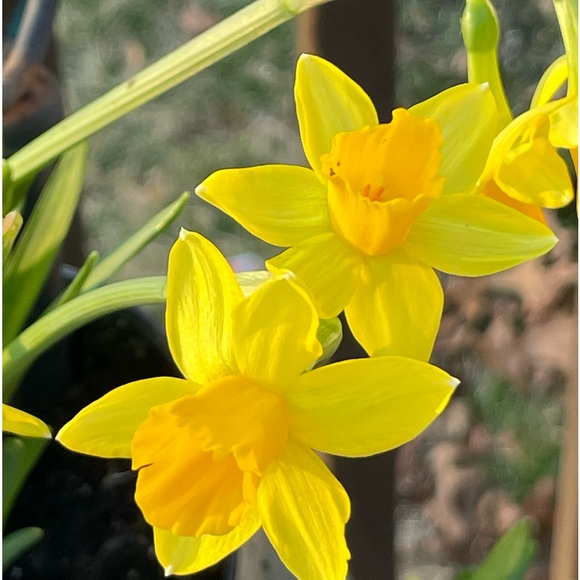 Meet your Posher, Klancy - Picture 9 of 12